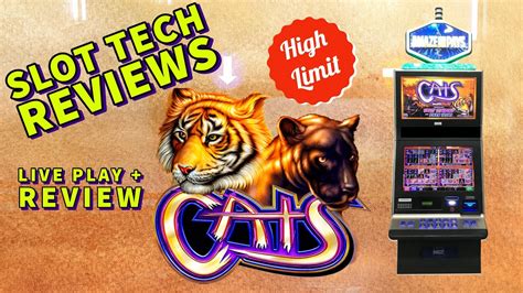 Ninja Cats Slot - Play Online