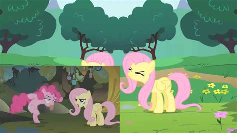 O Avast Fluttershy S Trimestre De Fenda