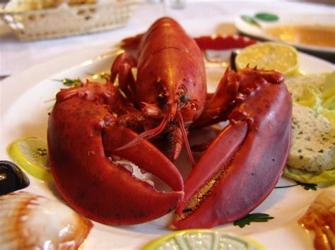 Pala Casino Tudo O Que Voce Pode Comer Lagosta