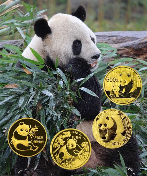 Panda S Gold Betsson