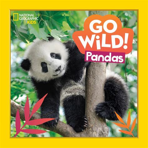 Pandas Go Wild Brabet