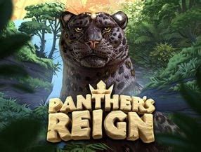 Panther S Reign Betfair