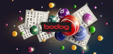 Park Bingo Bodog