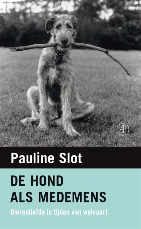 Paulista Slot Hond Als Medemens