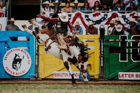 Pendleton Poker Roundup 2024 Resultados