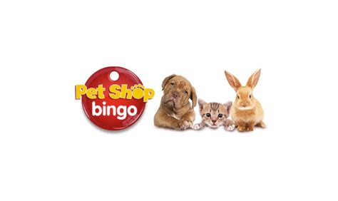 Pet Shop Bingo Casino Dominican Republic