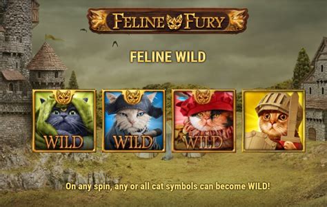 Play Feline Fury Slot