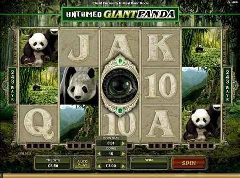 Play Giant Panda Slot