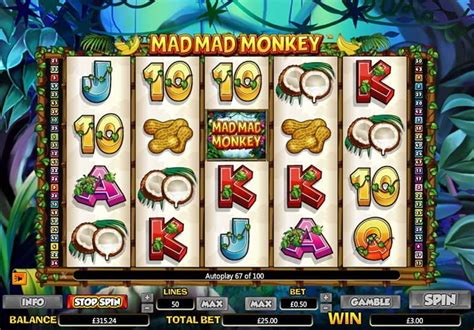 Play Mad Mad Monkey Slot