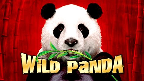 Play Panda Wilds Slot