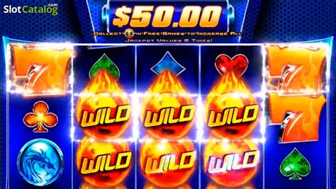 Play Wild Fury Jackpots Slot