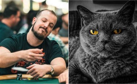 Poker Animais De Estimacao Facanha  Nate James