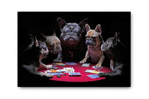 Poker Bulldog