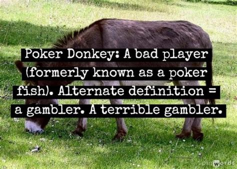 Poker Definicao Burro