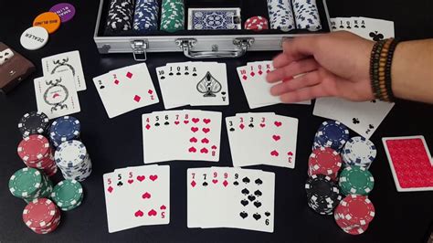 Poker En El Quarto De Chihuahua