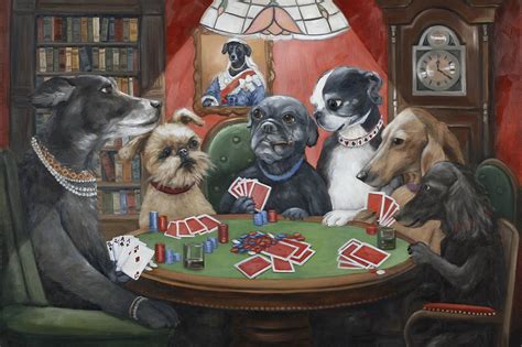 Poker Imagem De Caes