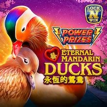 Power Prizes Eternal Mandarin Ducks Bodog