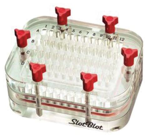 Pr648 Slot Blot Distribuidor