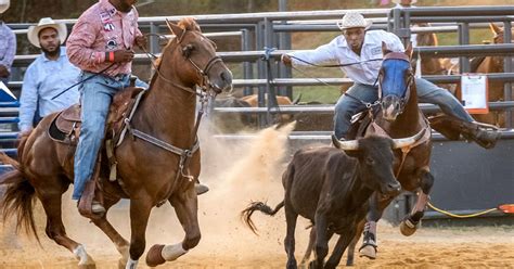 Preto Cowboy De Rodeio Jackson Ms