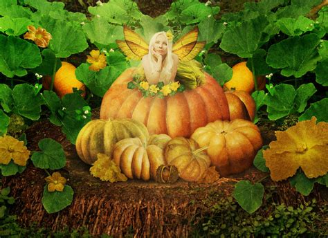 Pumpkin Fairy Brabet