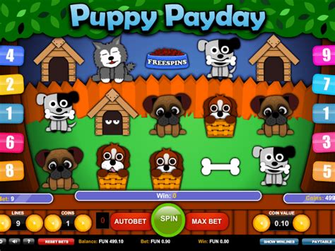 Puppy Payday 1xbet