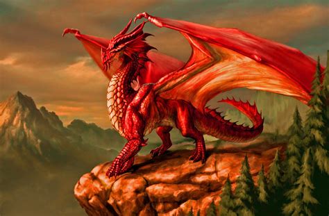Red Dragon Betsul