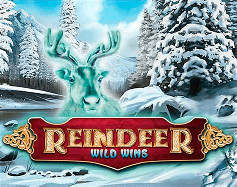 Reindeer Wild Wins Bodog