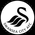 Rival De Fenda Swansea