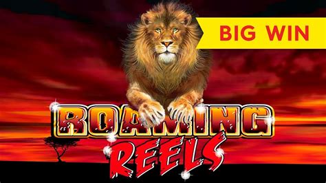 Roaming Reels Bwin