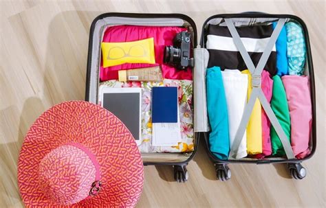 Roleta De Valise De Viagem De Um