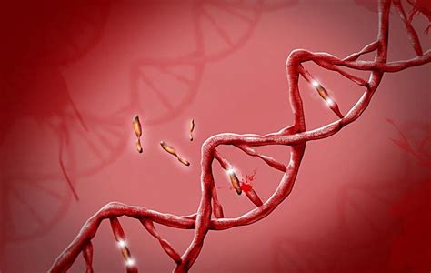 Roleta Genetica A Aposta Em Nossas Vidas Imdb