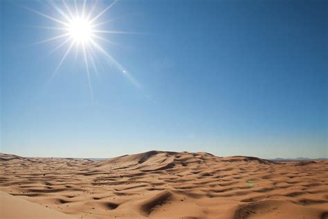 Sahara Sun Bodog