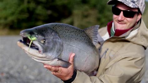 Salmon Catch Brabet