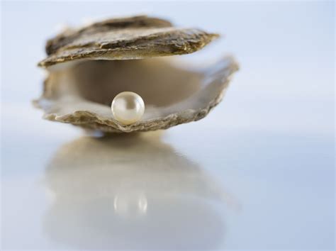 Sea Of Pearls Bodog