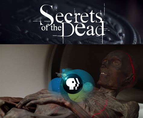 Secret Of Dead Bodog