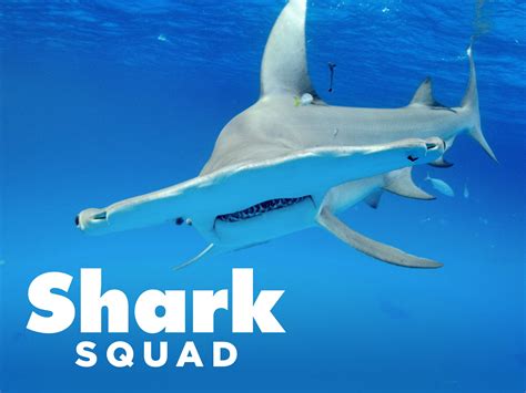 Shark Squad Brabet