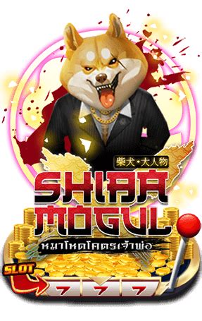 Shiba Mogul Novibet