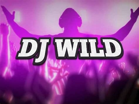 Slot Dj Wild