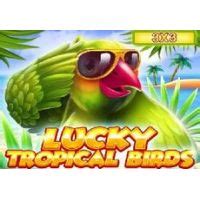 Slot Lucky Tropical Birds