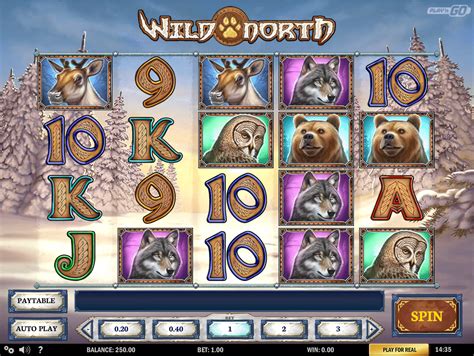 Slot Wild North