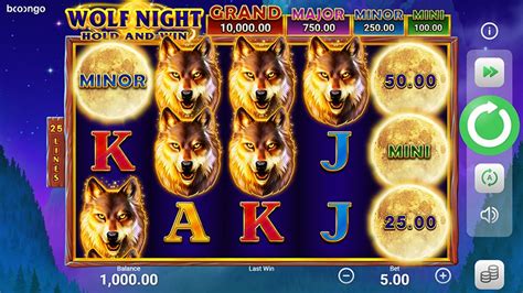 Slot Wolf Night