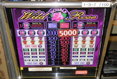 Slots De Wild Rose