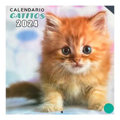 Slots Para O Gato 2024