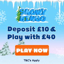 Snowy Bingo Casino Download