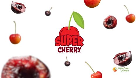 Super Cherry Brabet