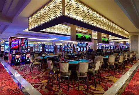 Tampa Bay Casino Cruzeiro