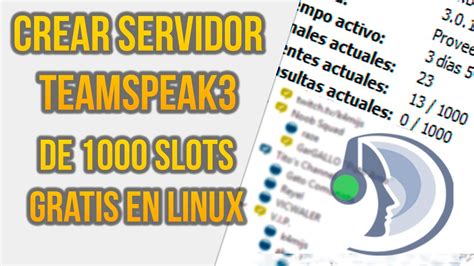 Teamspeak 3 1000 Slot Lizenz