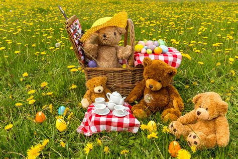 Teddy Bears Picnic Betano