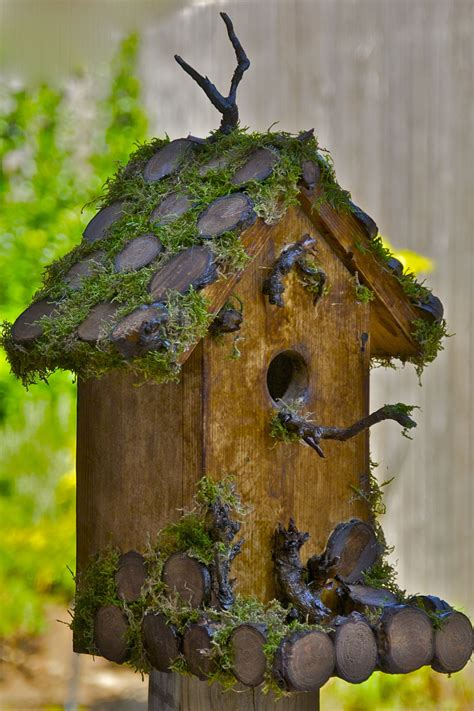 The Bird House Blaze