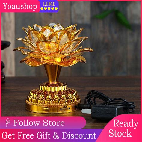 The Lotus Lamp 1xbet